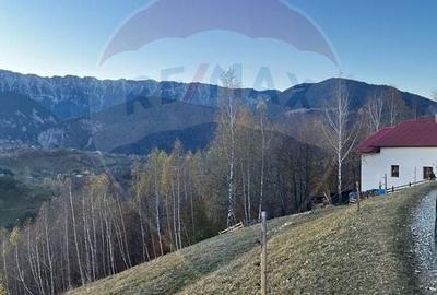 Teren Magura inima naturii perfect pentru A frame, casa vacanta