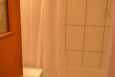 Titan 1Decembrie1918 Apartament Decomandat 2 Camere - 12