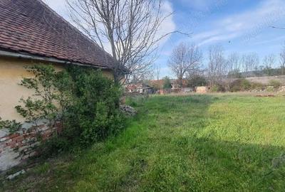 Teren de 3000 mp, în Fârdea - 4