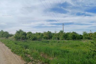 Teren 1400 mp, intravilan construibil, in Joi?a - 1