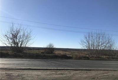 Teren de 7500 mp, în Dragomirești - 5