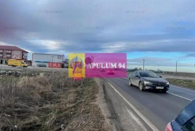 Teren de 4050 mp, în Sud - 2