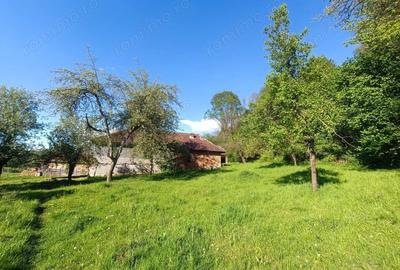 Casă cu Canalizare în Măgulicea - 11