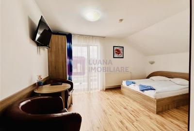 Afacere la cheie | Vila de 3 stele | Paltinis | amenajata complet - 8