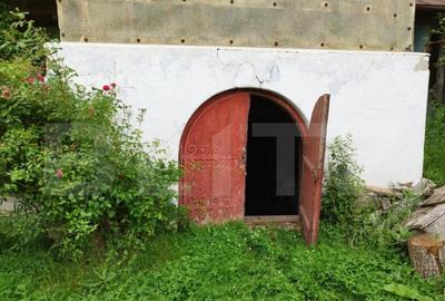 Casa individuala cu crama, teren 6700mp, Plopu - 3