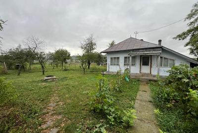 Teren 1300 mp, Intravilan Podu Iloaiei Erbiceni - 1