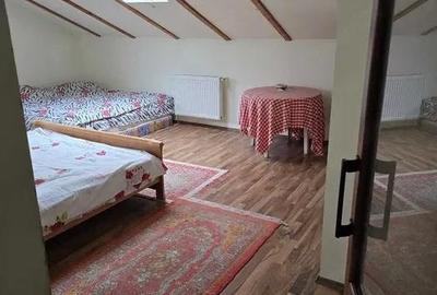 Casă cu 6 camere cu Teren 4000 Mp în Vedea - 3