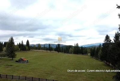 Teren 2804 mp, la munte! In Bucovina Fundu Moldovei! - 18