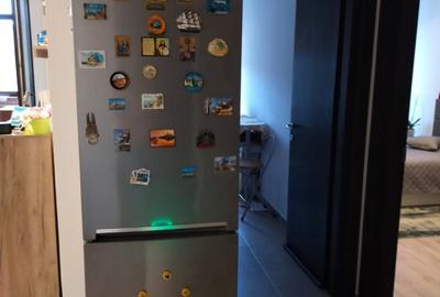 Apartament cu 2 camere decomandat în Bucium - 9