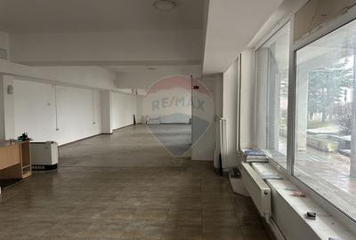 Spațiu comercial, de 166 mp, în Calea Romanului - 3