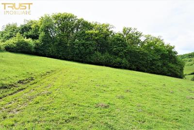 Teren intravilan Valea Castailor Bistrita - 2