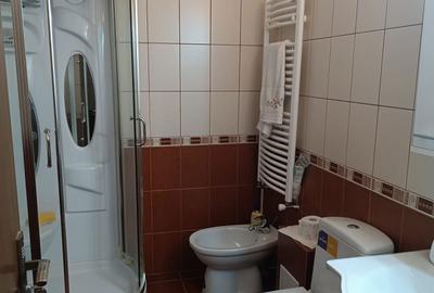 Apartament cu 3 camere decomandat în Bistrița Lac - 5