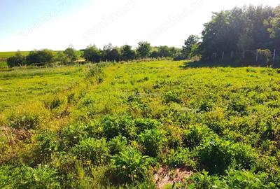 Teren de 18247 mp, în Mișca - 10