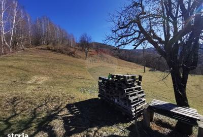 Teren de 10100 mp, în Bulz - 4