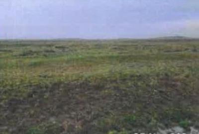 Teren de 407492 mp, în Luciu - 4