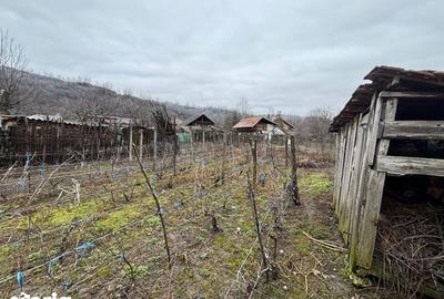 Casă cu 3 camere cu Teren 600 Mp în Săhăteni - 1