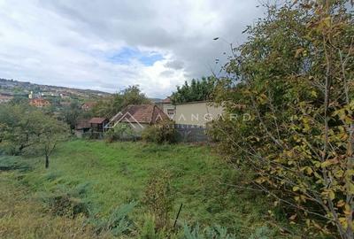 Teren autorizabil Liu | 1000mp | front 30ml | Borhanci - 2