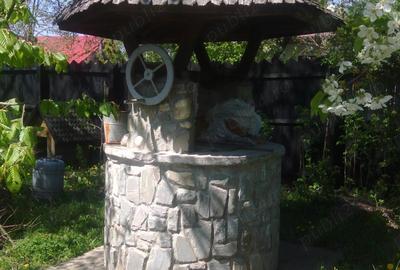 Vand conac+3540mp in Valenii de Munte, - 9