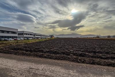 Teren industrial, intravilan, cu utilitati, Stupini, 11.600 mp - 3