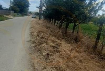 TEREN  ZONA MUZEUL GOLESTI ARGES!! - 1