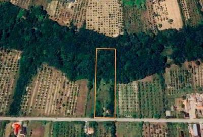 Spațiu comercial, în Vonigeasa - 2