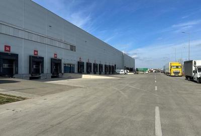 Spatiu depozitare Dragomiresti - Deal A1 , Km. 13,5 - 1