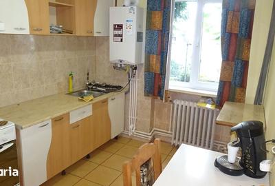 Apartament cu 2 camere semidecomandat în Gojdu - 5