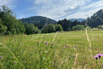 Teren 400 mp.  intravilan cu aut. constructie  in Sacele -jud. Brasov - 9