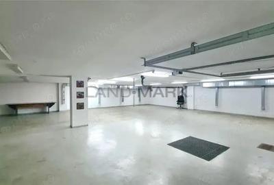 Cladire de birouri servicii, 1300 mp , semicentral, Timisoara - 11