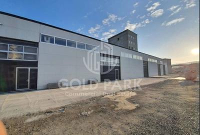 Spatiu Industrial - Baciu - Parc Logistic in Curs de Construire - 2