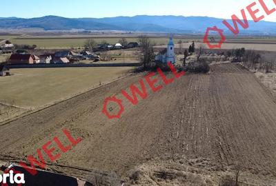 Casă cu 3 camere cu Teren 2407 Mp în Zăbala - 8