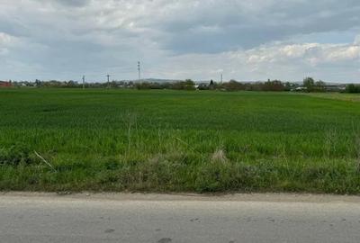 Teren constructie casa , zona Trifesti,Neamt - 1