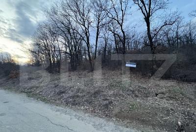 Teren de 50000 mp, în Central