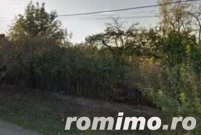 Casa si teren Pitulati, jud. Braila - ID R1965250 - 2