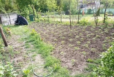 Casă cu 3 camere în Coșerele - 5