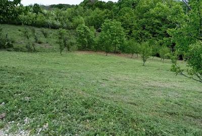 Teren de 1371 mp, în Cotmenița - 3