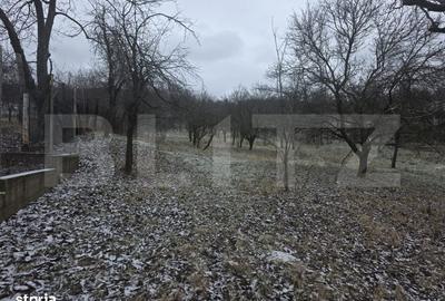 Teren de 9066 mp, în Aninoasa - 8