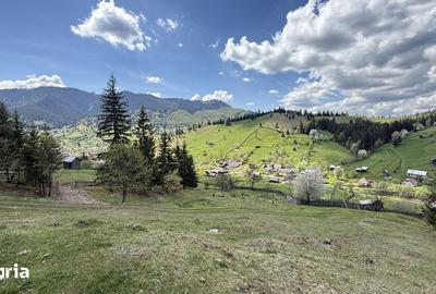 Teren de 22959 mp, în Sadova - 3