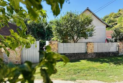 Casă individuală cu 2 camere cu Teren 719 Mp în Dognecea - 4