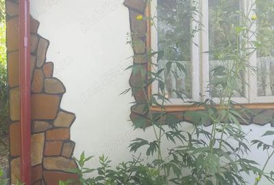 Casă cu 5 camere în Colți - 4