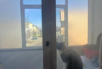 Apartament cu 2 camere semidecomandat în Central - 3