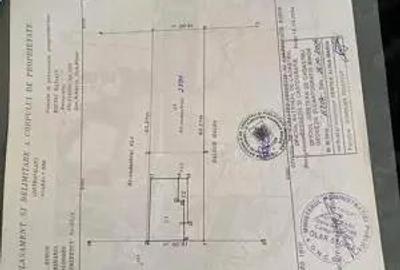 Casă cu Teren 1000 Mp în Biharia