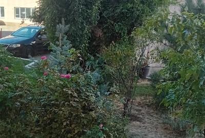 Splaiul Unirii 9, intre Sect.3 si Popesti Leordeni - 19