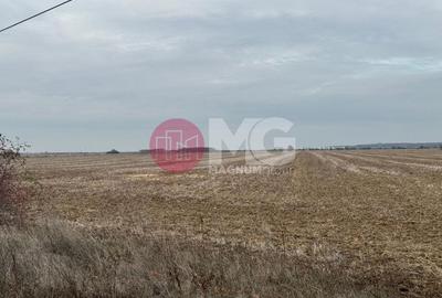 Teren vanzare zona Parcul logistic CTP ULMI - 12