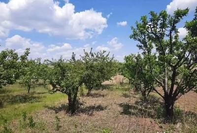 Teren de 3360 mp, în Holboca - 2