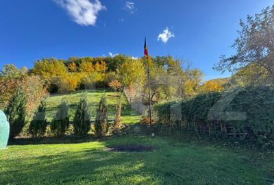 Casa cu 3 camere, zona Ruda Brad - 13