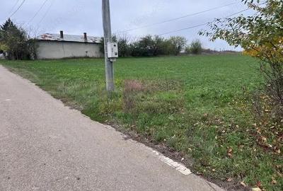 Teren de 5000 mp, în Comana - 3