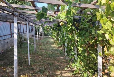 Casă cu 3 camere în Central - 5