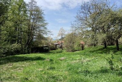 Casă cu 3 camere în Nojag - 5