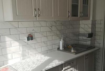 Apartament 2 camere Nicolae Grigorescu - 6